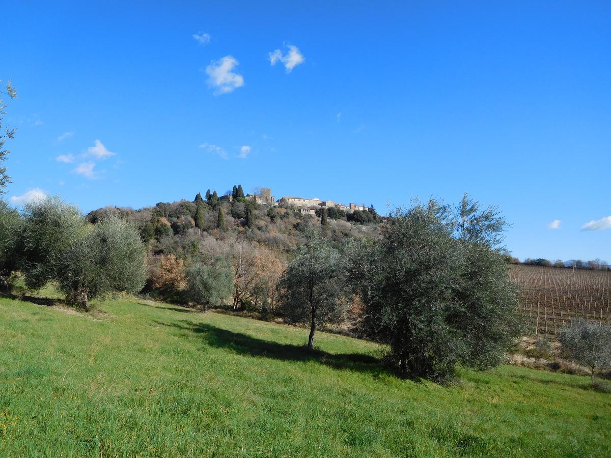 Borgo Vecchio Hotel Montalcino Exterior foto